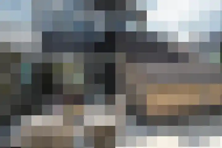 Achterbosk 5 Menaam thumbnail 29