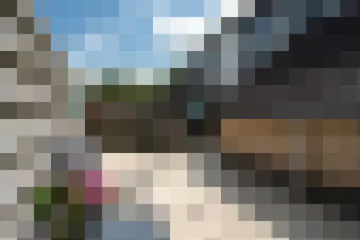 Achterbosk 5 Menaam thumbnail 32