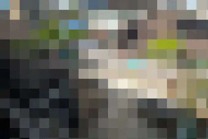 Achterbosk 5 Menaam thumbnail 33