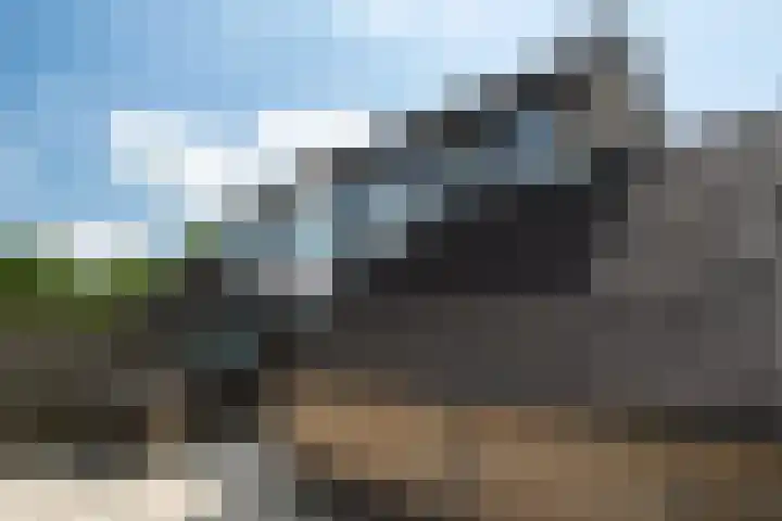 Achterbosk 5 Menaam thumbnail 34