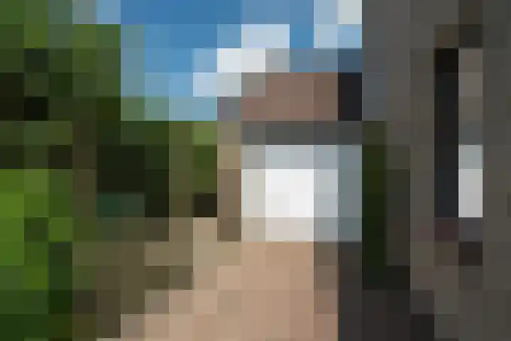 Achterbosk 5 Menaam thumbnail 35