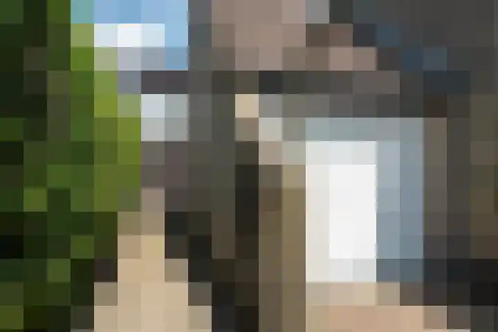 Achterbosk 5 Menaam thumbnail 36