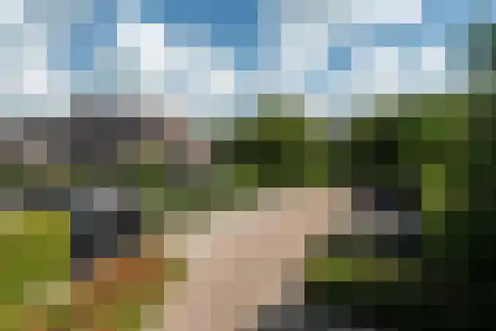 Achterbosk 5 Menaam thumbnail 37