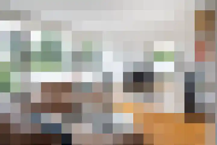 Achterbosk 5 Menaam thumbnail 4