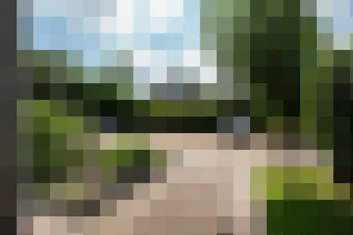 Achterbosk 5 Menaam thumbnail 41
