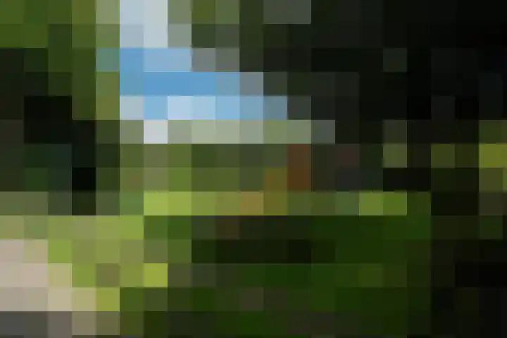 Achterbosk 5 Menaam thumbnail 43