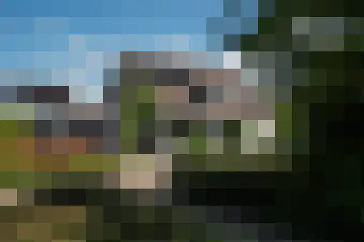 Achterbosk 5 Menaam thumbnail 44