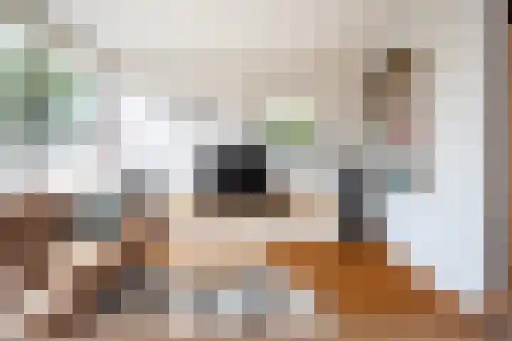 Achterbosk 5 Menaam thumbnail 5