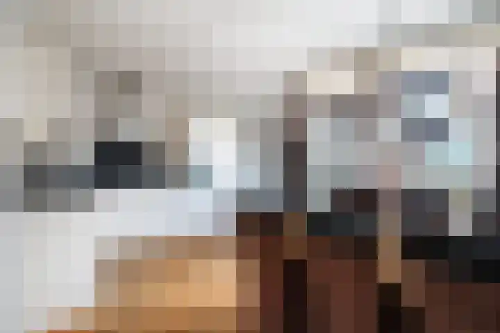 Achterbosk 5 Menaam thumbnail 7