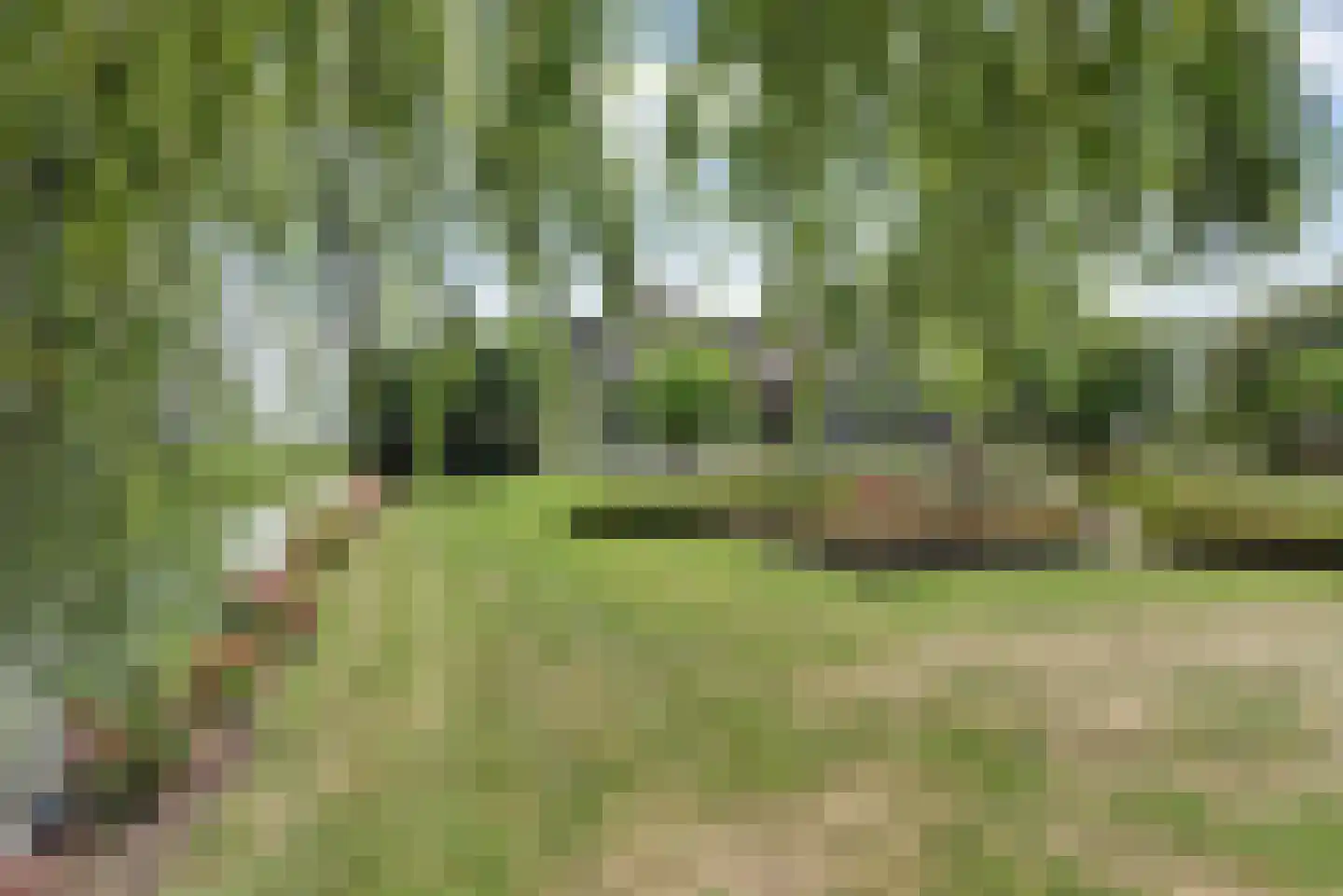 Achterbroek 10 a Berkenwoude thumbnail 29