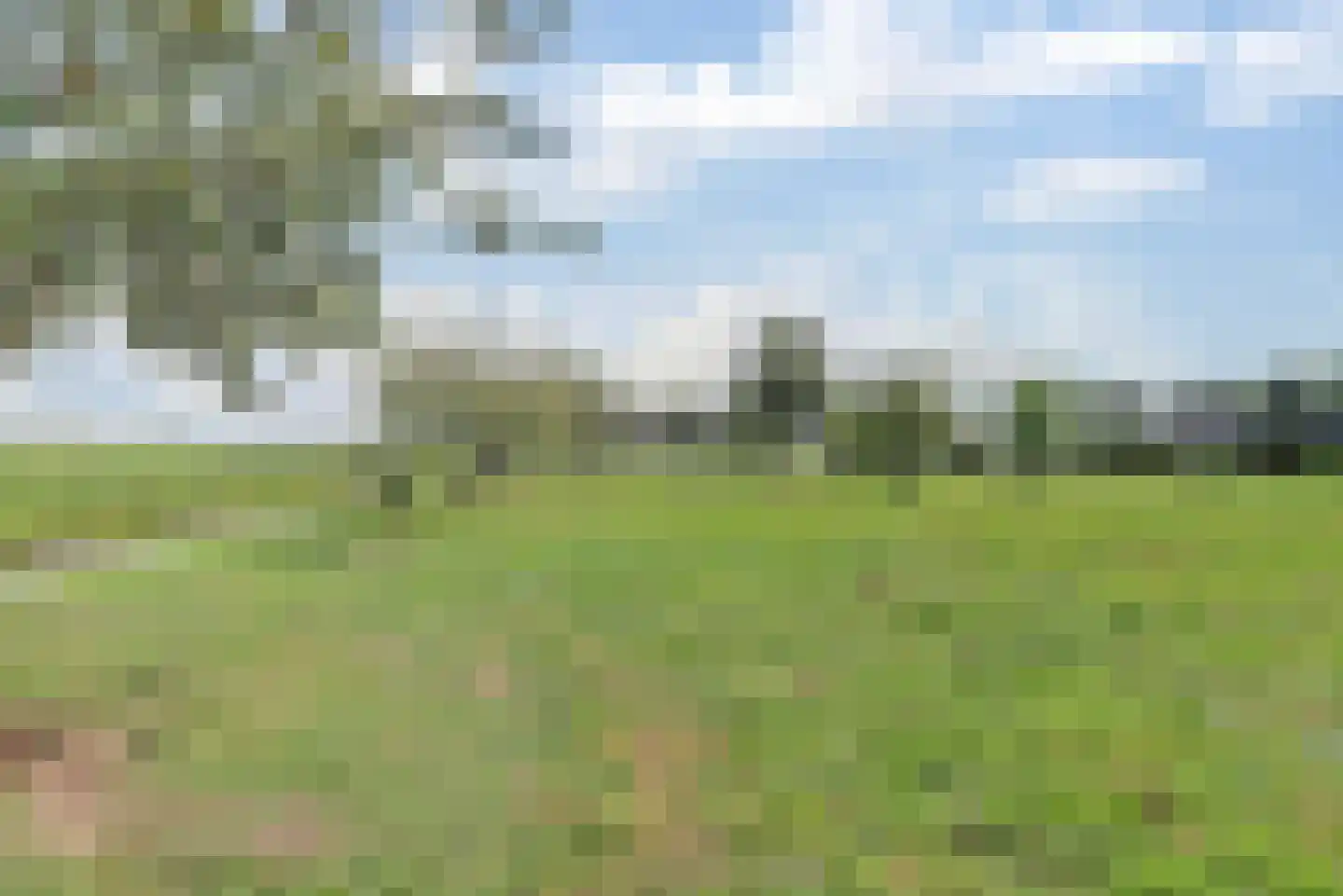 Achterbroek 10 a Berkenwoude thumbnail 37