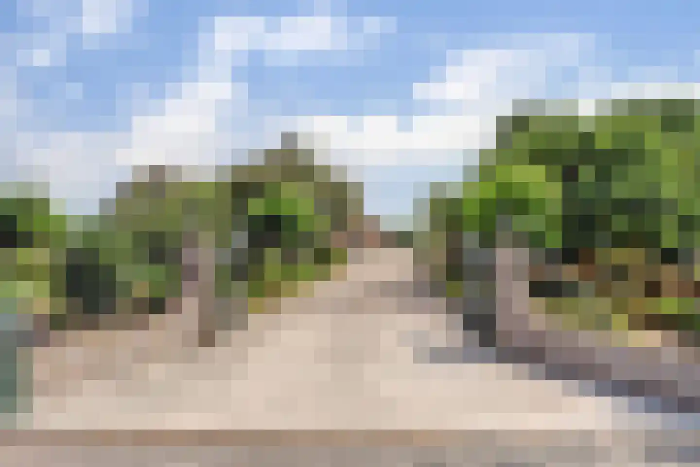 Achterbroek 10 a Berkenwoude thumbnail 40
