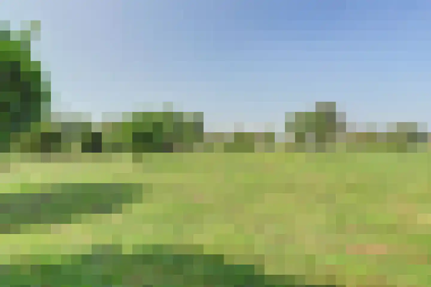 Achterbroek 10 Berkenwoude thumbnail 107