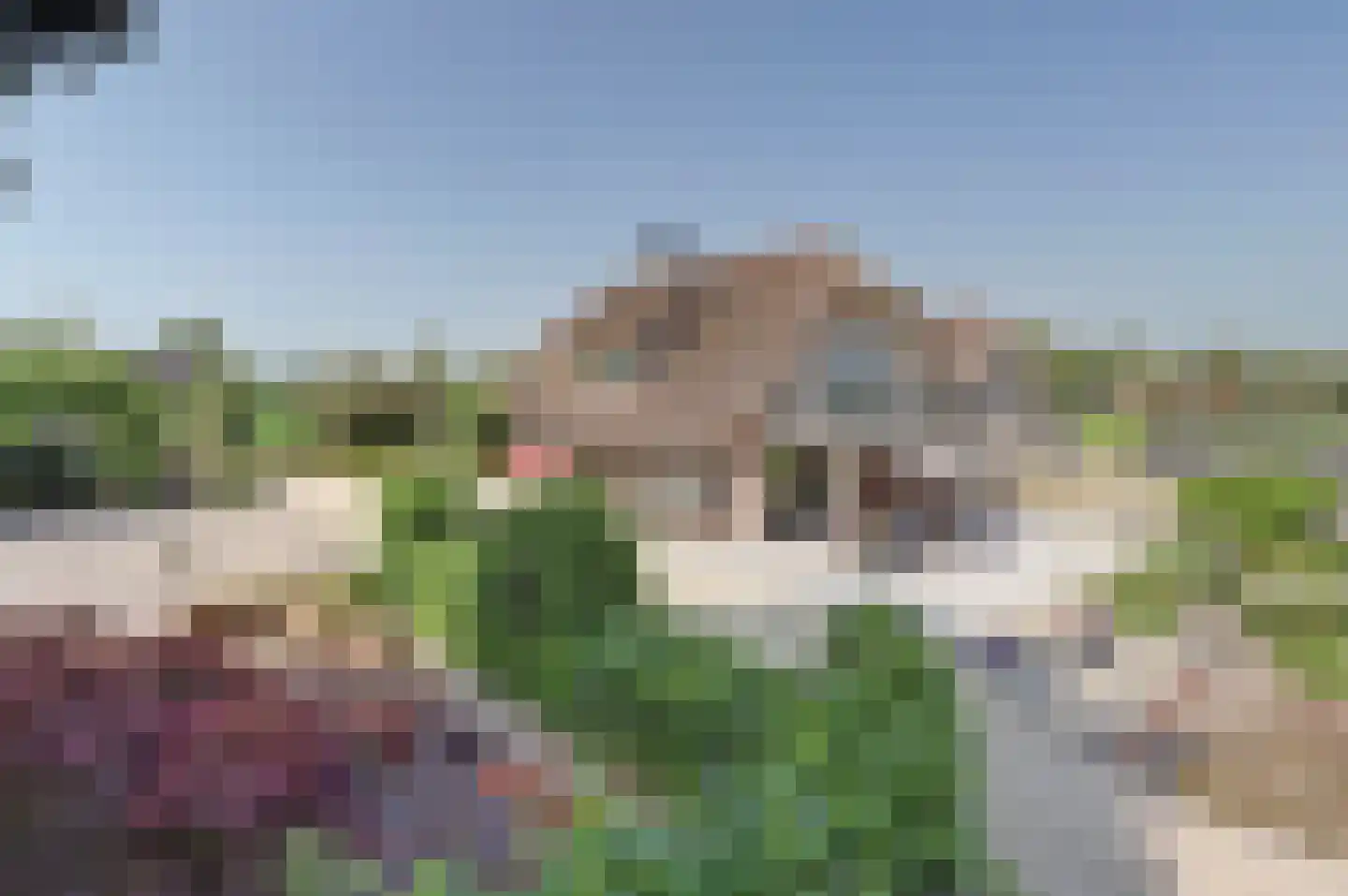 Achterbroek 10 Berkenwoude thumbnail 11