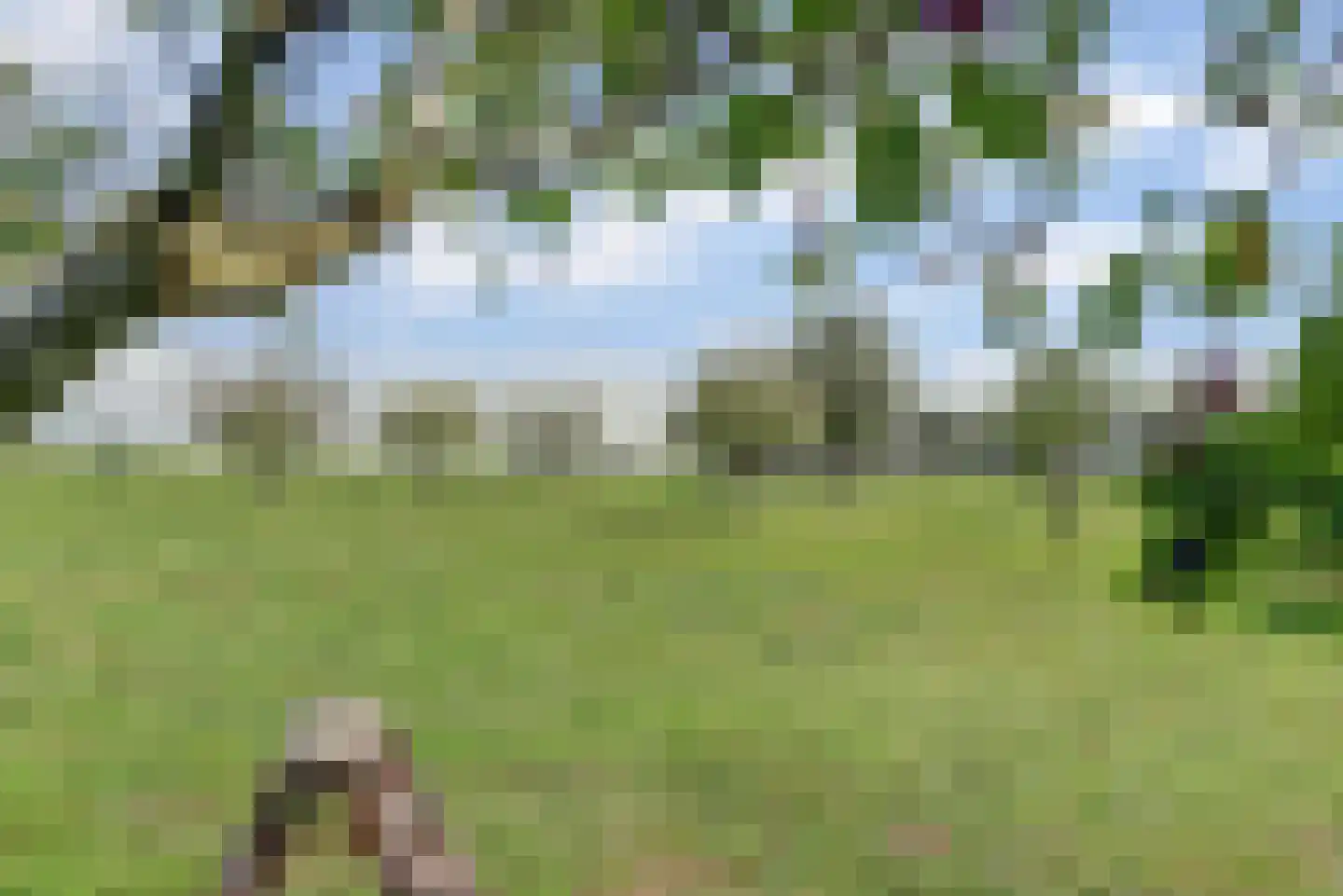 Achterbroek 10 Berkenwoude thumbnail 117