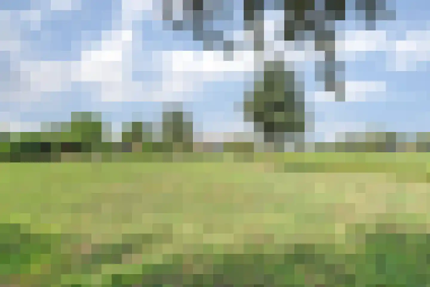 Achterbroek 10 Berkenwoude thumbnail 118