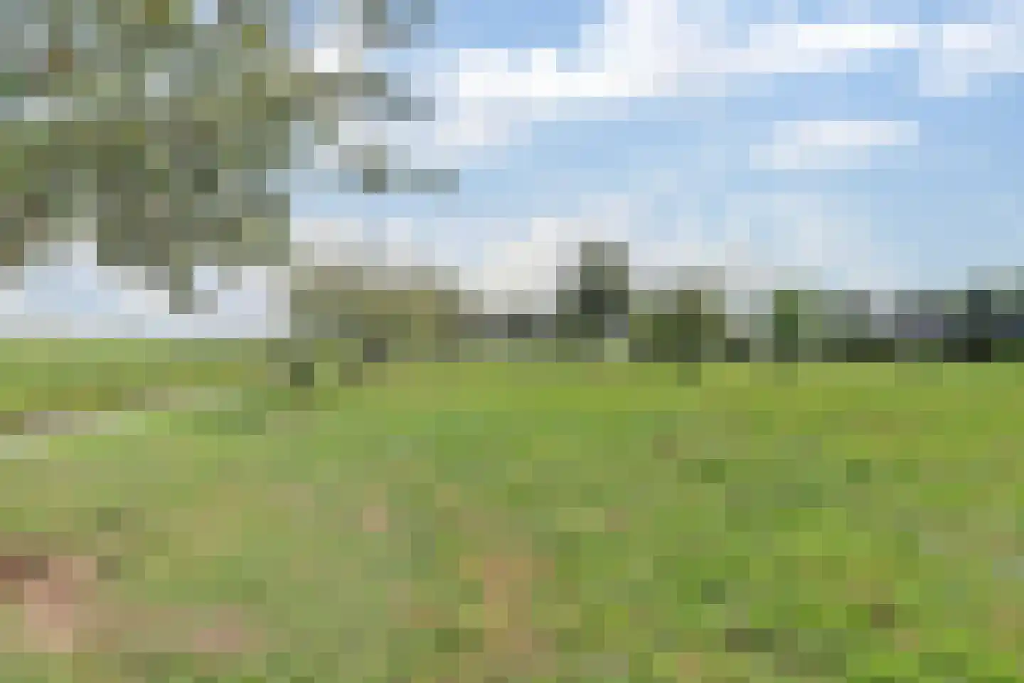 Achterbroek 10 Berkenwoude thumbnail 119
