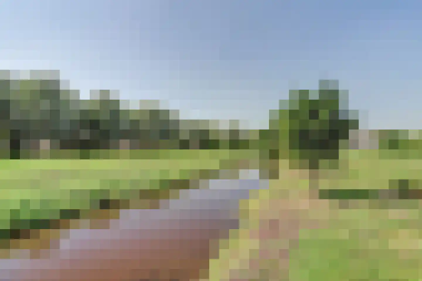Achterbroek 10 Berkenwoude thumbnail 120