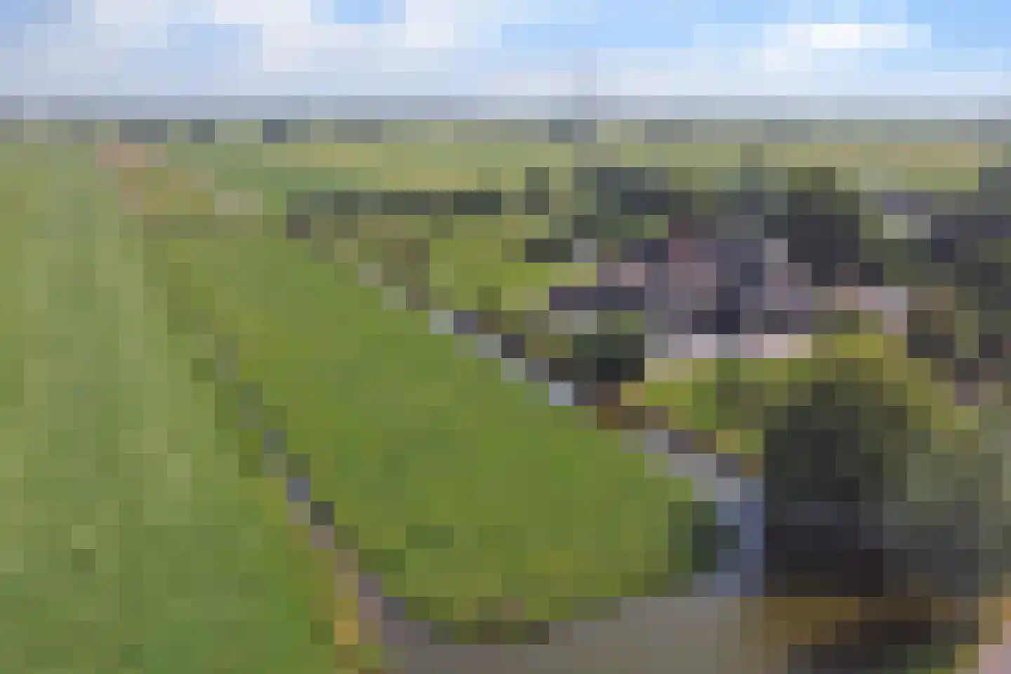 Achterbroek 10 Berkenwoude thumbnail 122
