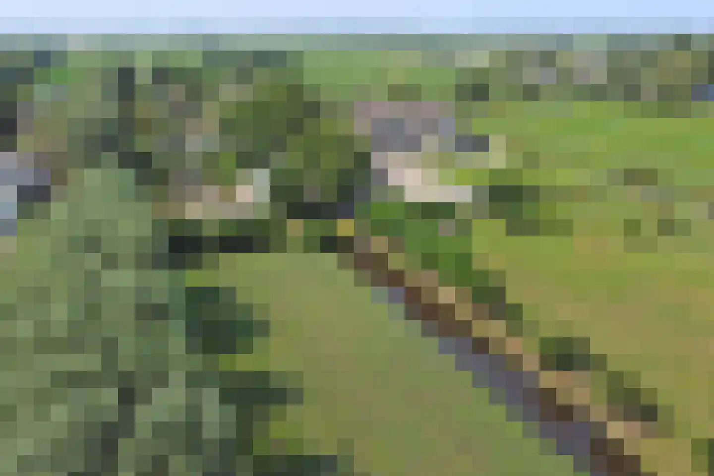 Achterbroek 10 Berkenwoude thumbnail 125