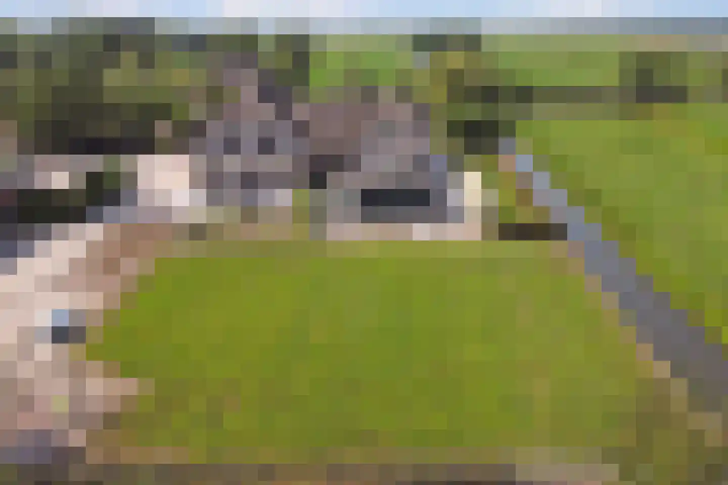 Achterbroek 10 Berkenwoude thumbnail 128