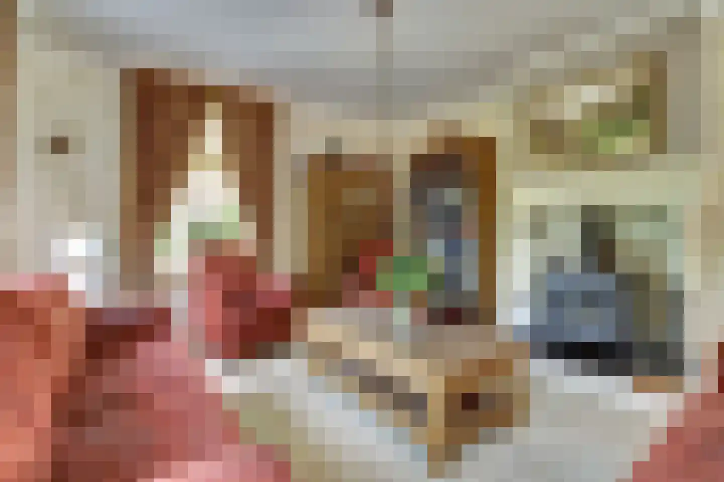 Achterbroek 10 Berkenwoude thumbnail 16