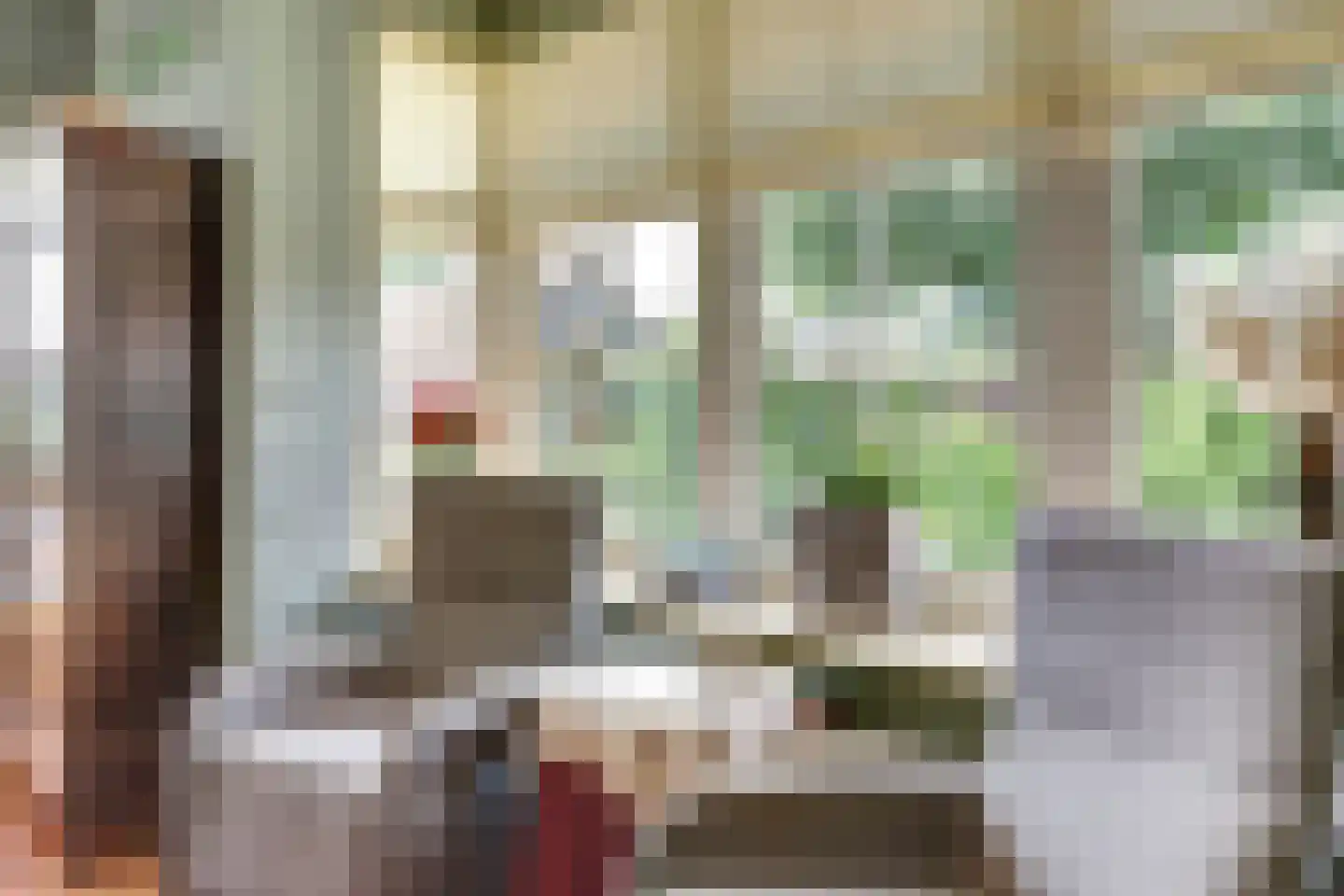 Achterbroek 10 Berkenwoude thumbnail 18