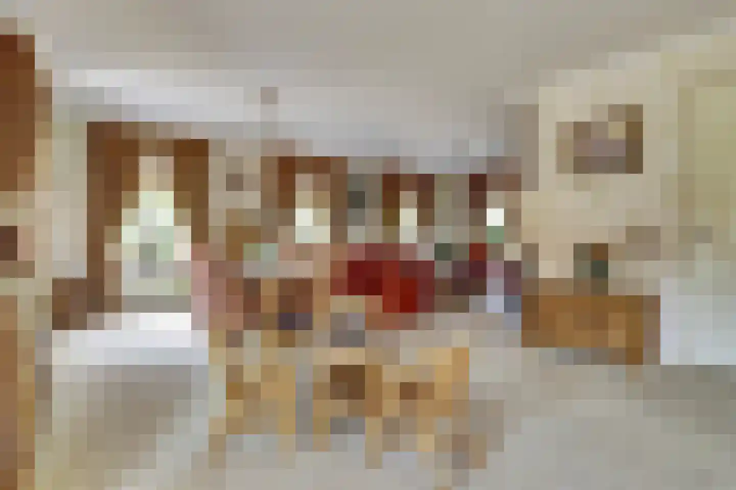 Achterbroek 10 Berkenwoude thumbnail 20