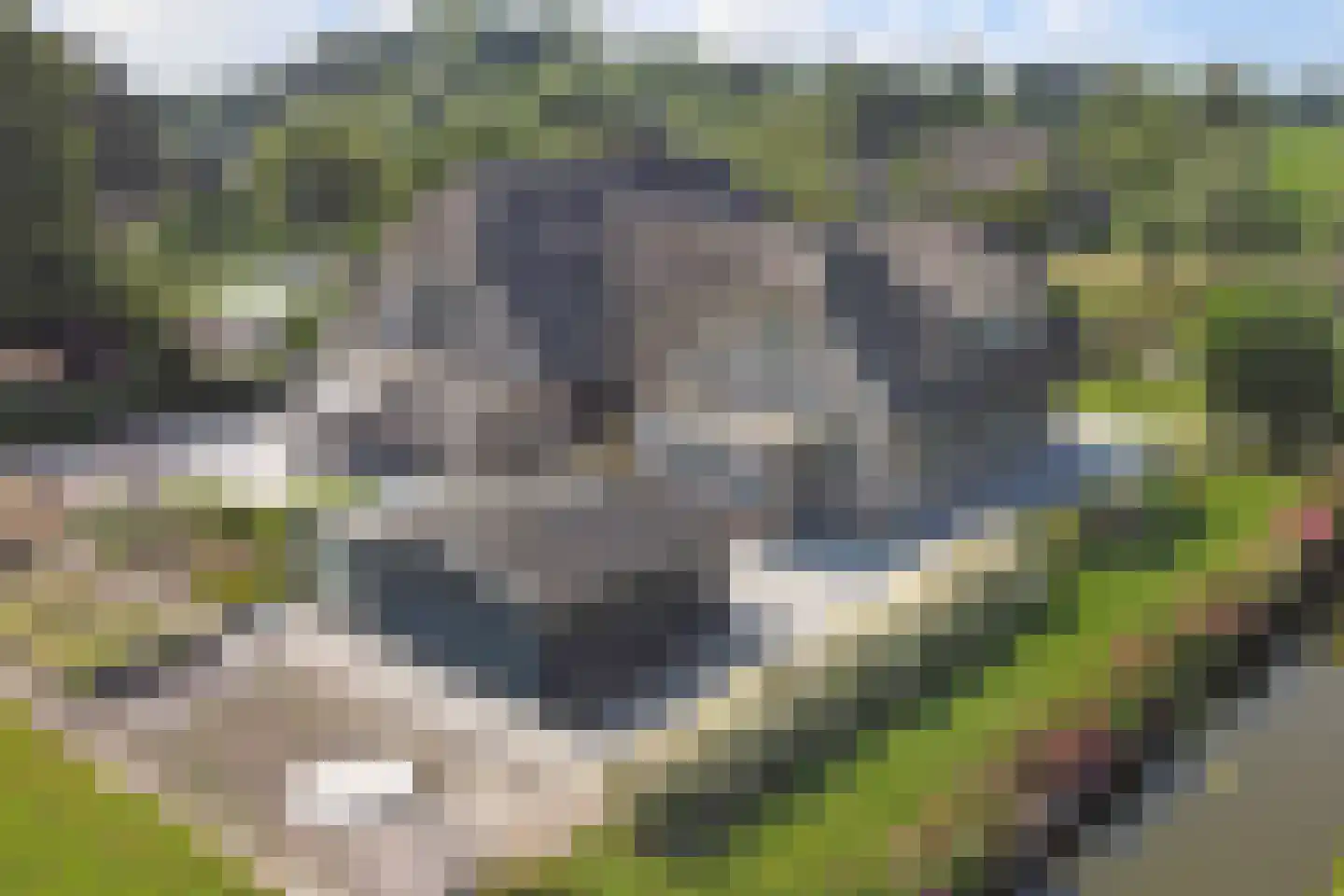 Achterbroek 10 Berkenwoude thumbnail 4