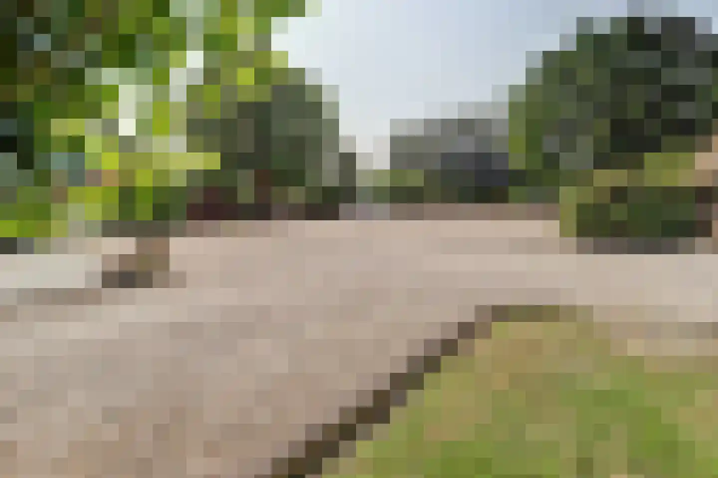 Achterbroek 10 Berkenwoude thumbnail 53