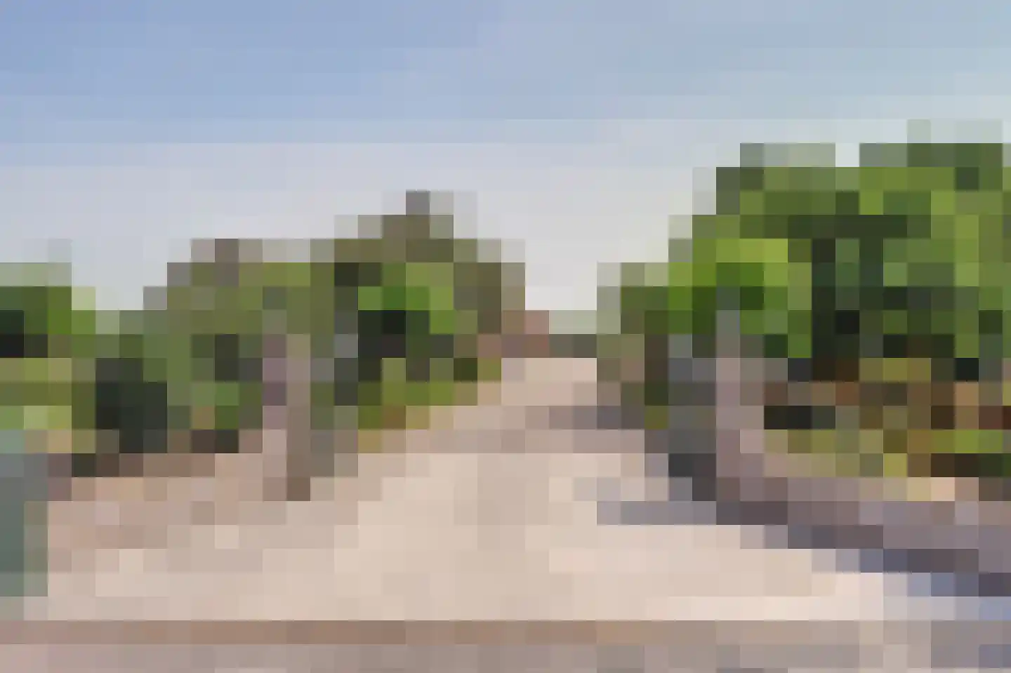 Achterbroek 10 Berkenwoude thumbnail 61