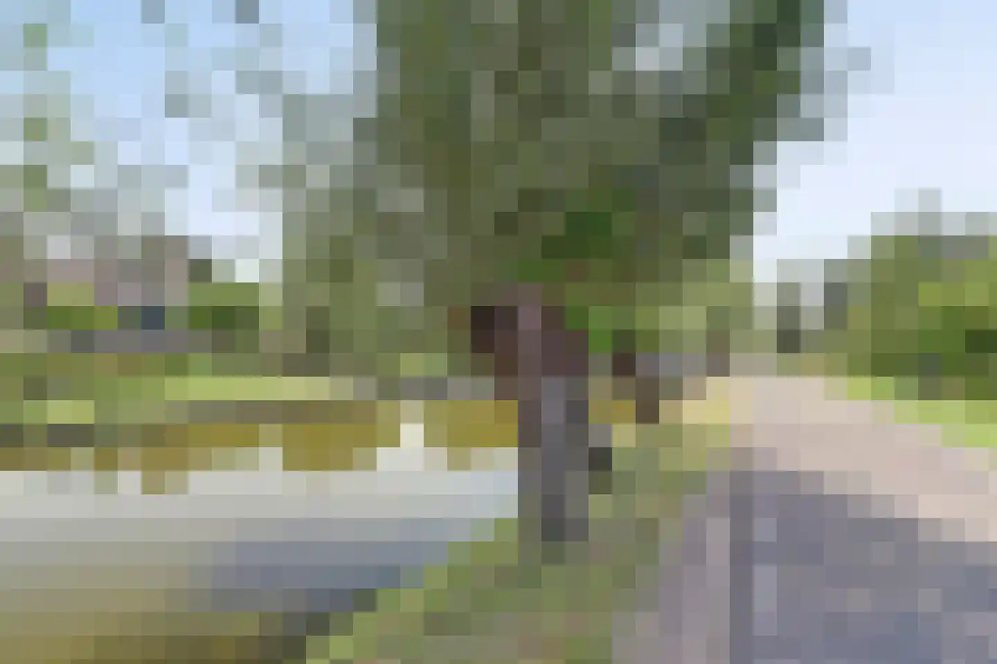 Achterbroek 10 Berkenwoude thumbnail 62