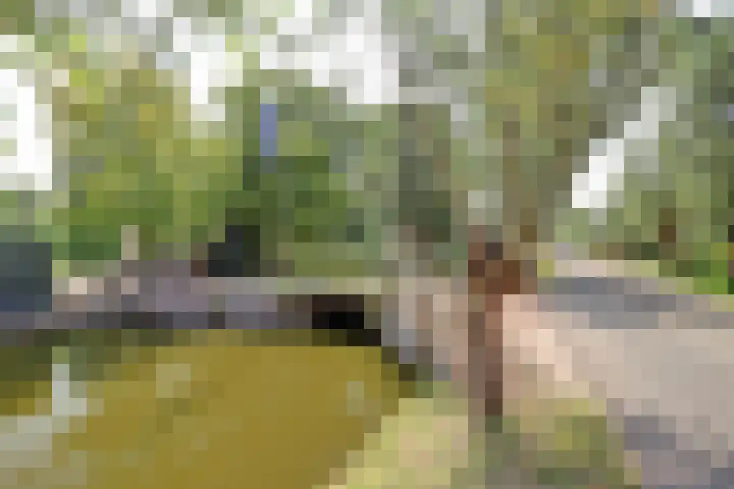 Achterbroek 10 Berkenwoude thumbnail 63