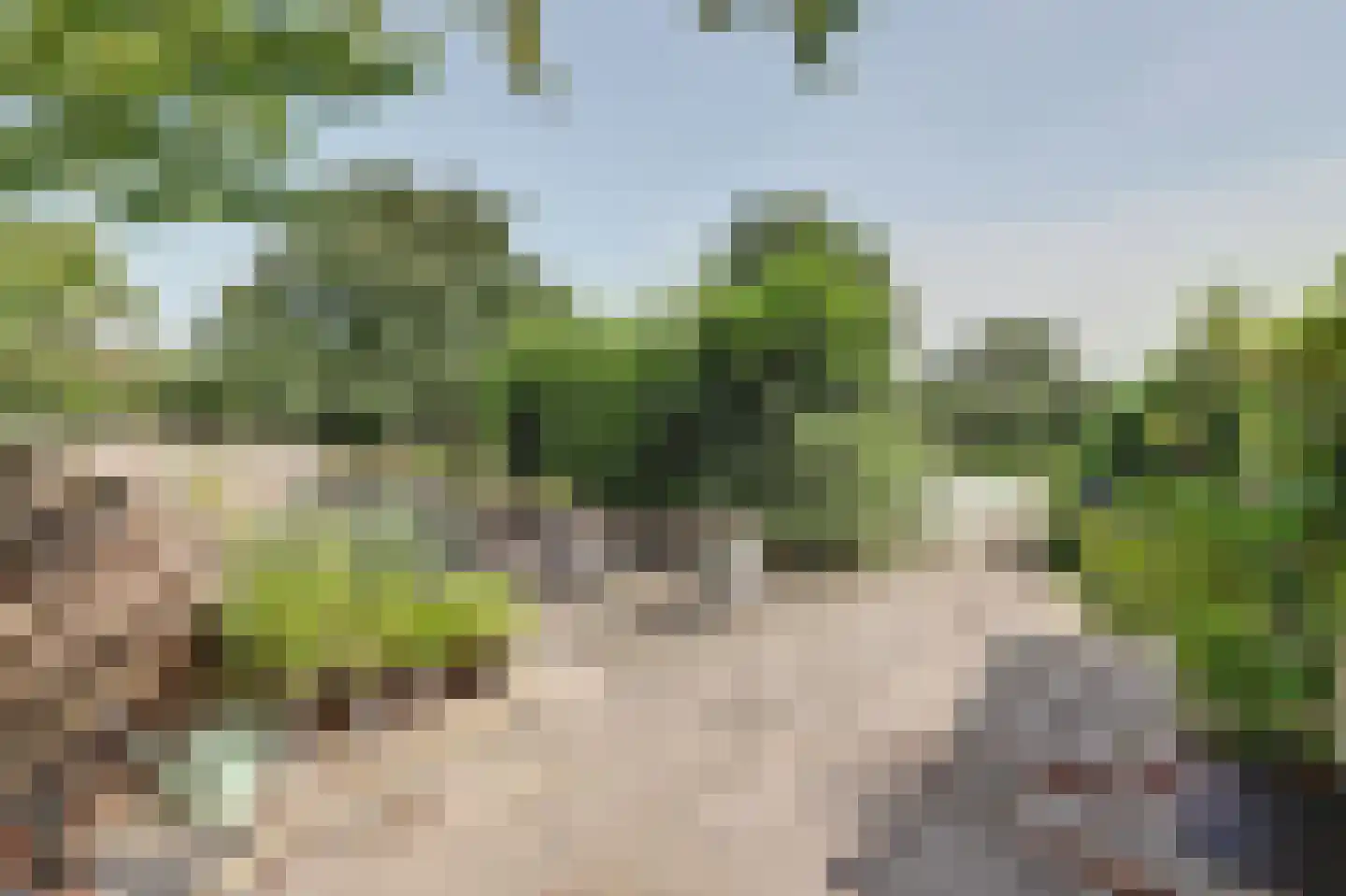Achterbroek 10 Berkenwoude thumbnail 67