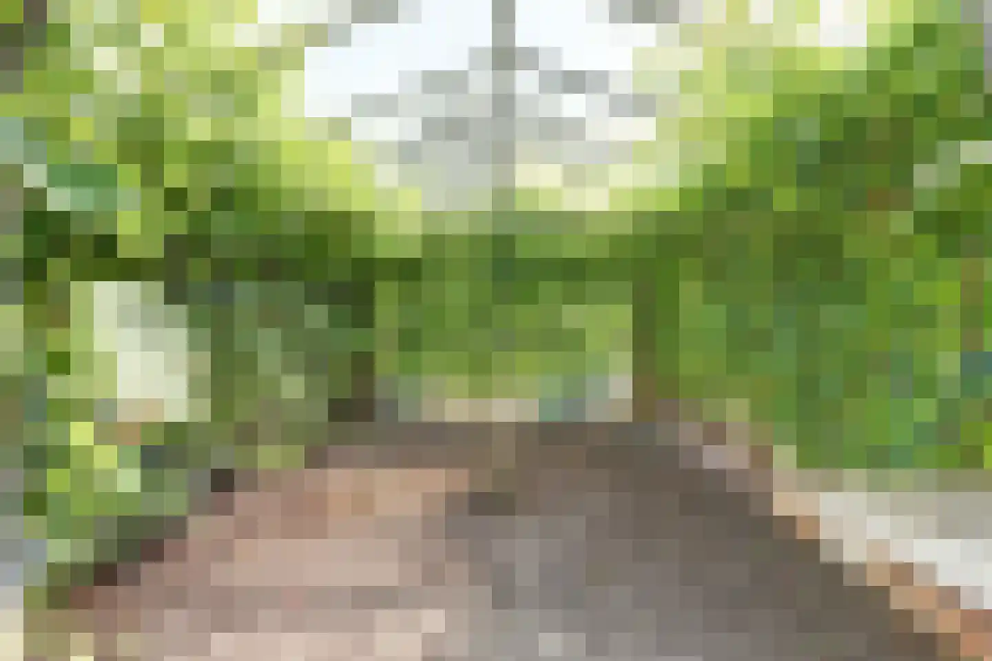 Achterbroek 10 Berkenwoude thumbnail 68