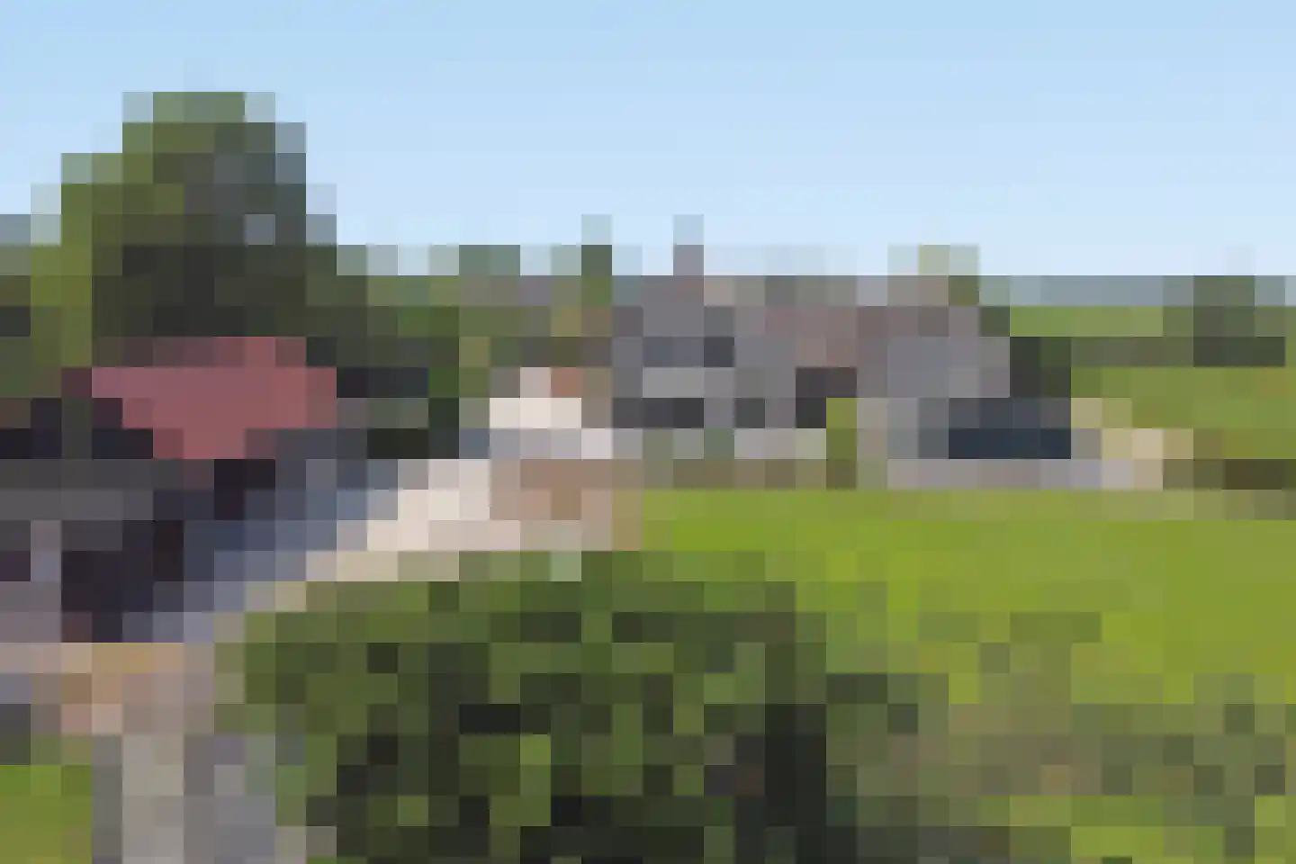 Achterbroek 10 Berkenwoude thumbnail 7