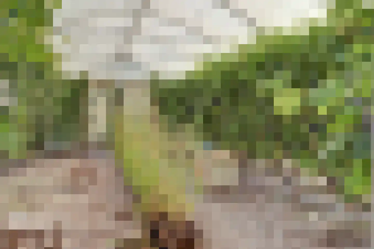 Achterbroek 10 Berkenwoude thumbnail 71