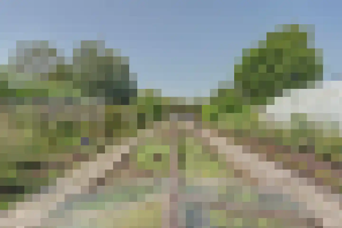 Achterbroek 10 Berkenwoude thumbnail 73