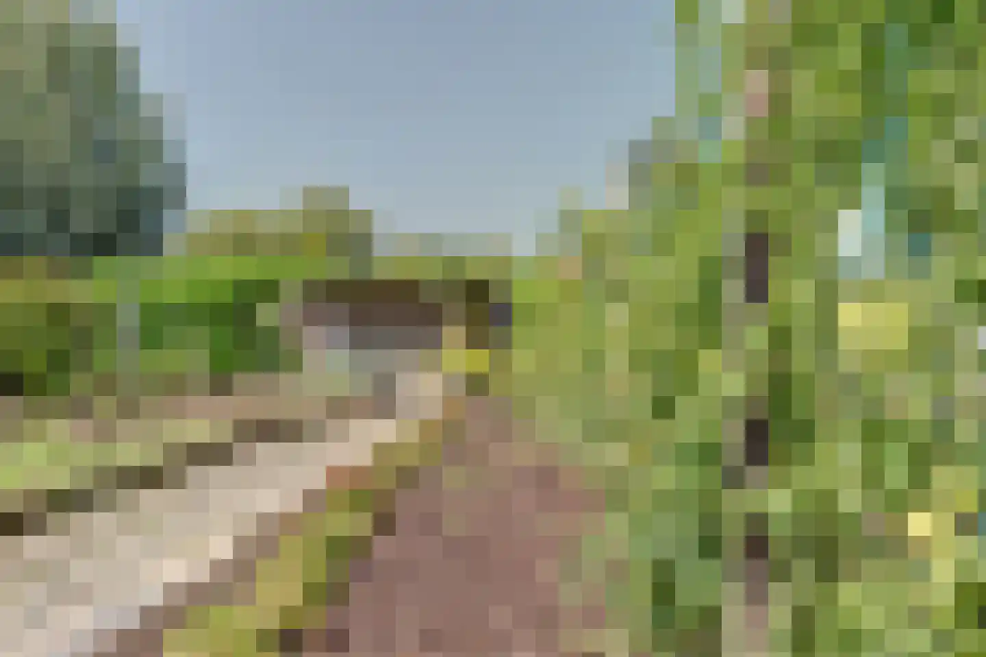 Achterbroek 10 Berkenwoude thumbnail 75