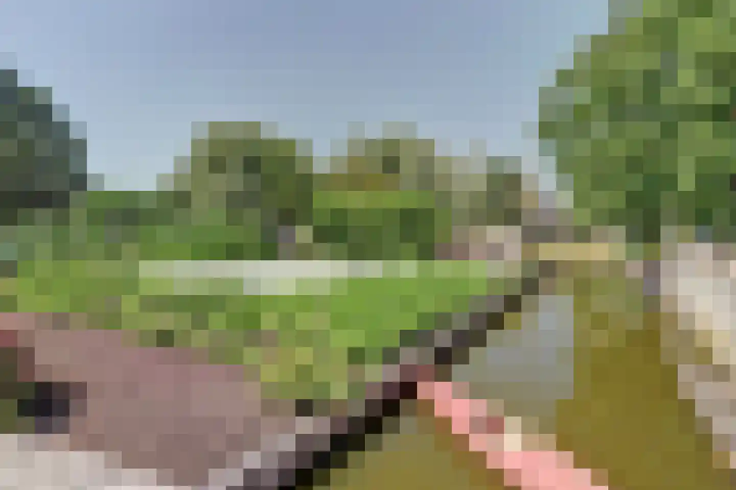 Achterbroek 10 Berkenwoude thumbnail 79