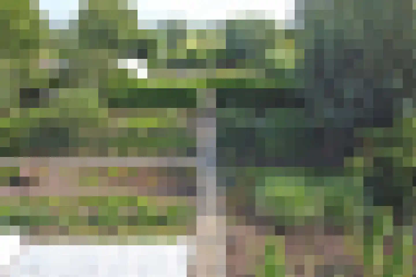 Achterbroek 10 Berkenwoude thumbnail 80