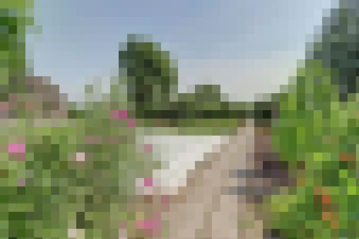 Achterbroek 10 Berkenwoude thumbnail 81