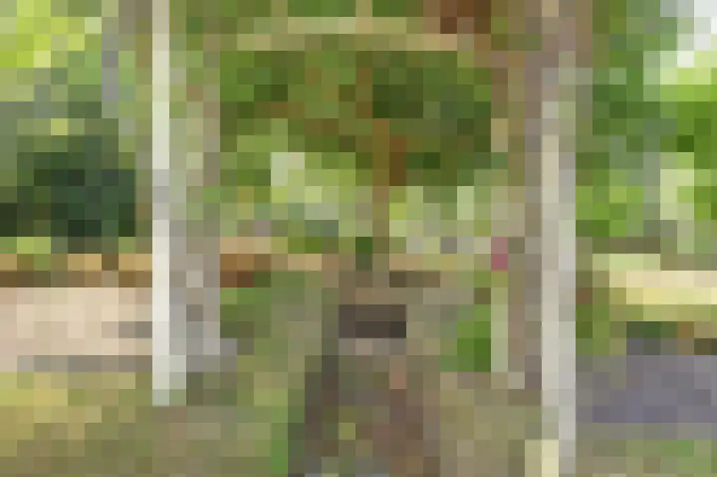 Achterbroek 10 Berkenwoude thumbnail 83