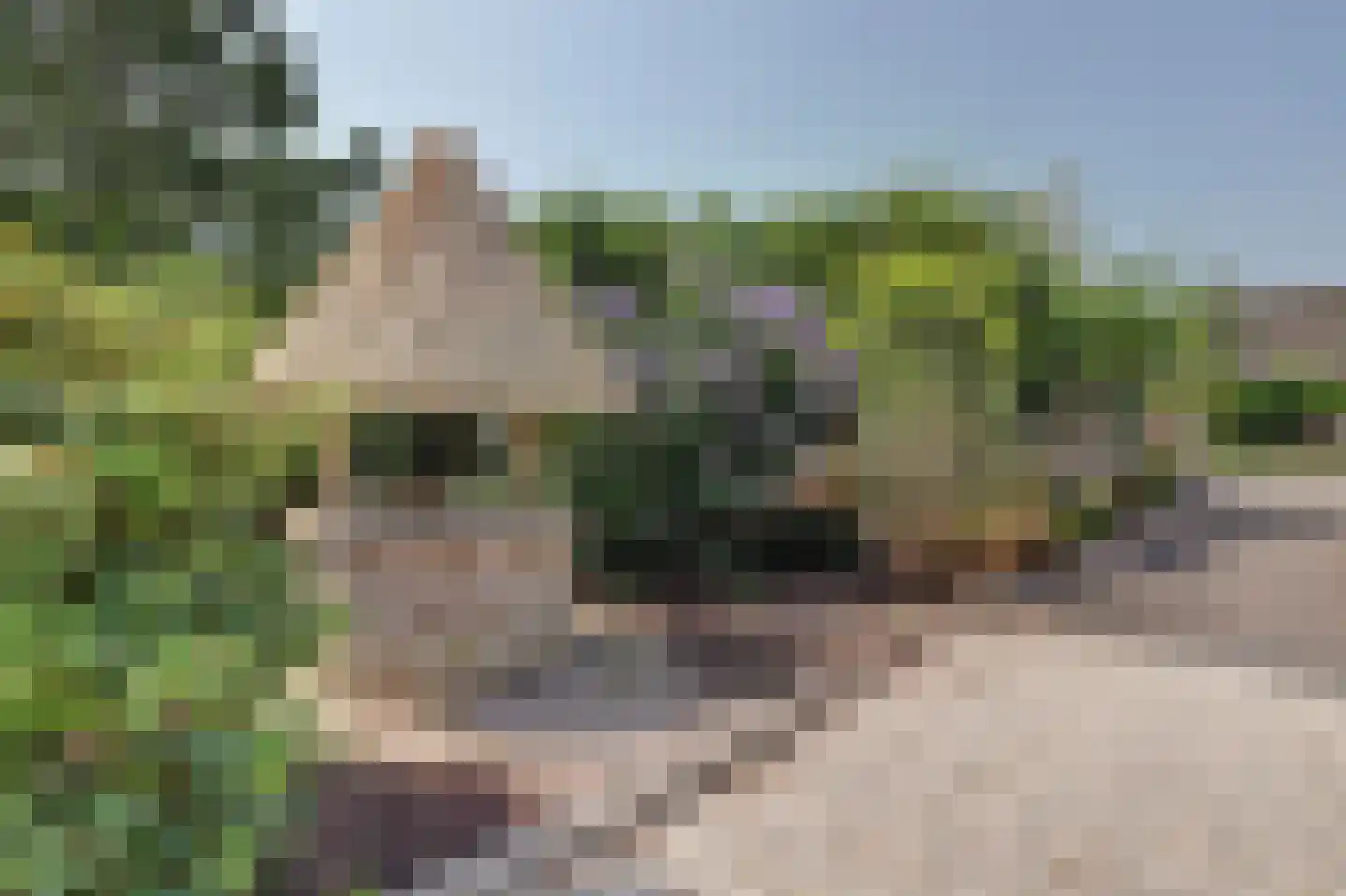 Achterbroek 10 Berkenwoude thumbnail 84