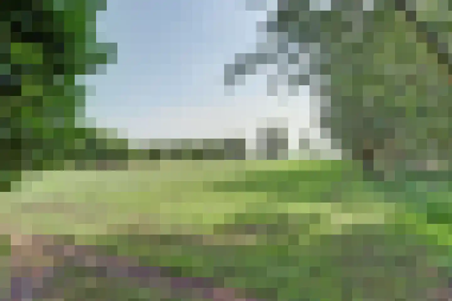 Achterbroek 10 Berkenwoude thumbnail 85