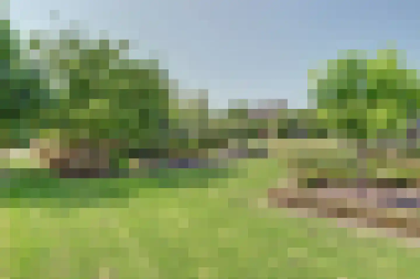Achterbroek 10 Berkenwoude thumbnail 86