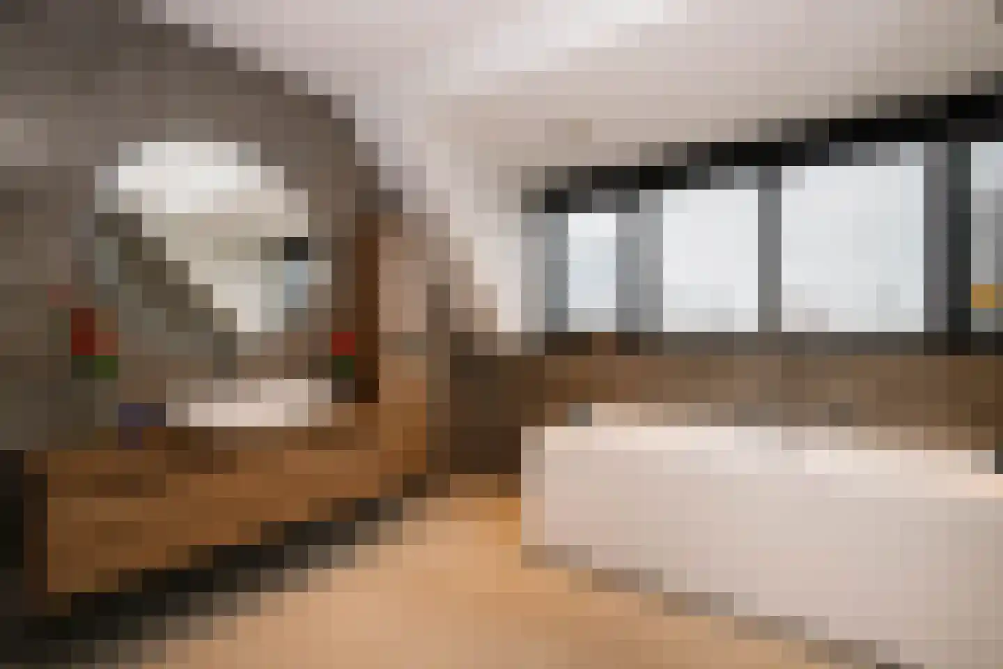 Achterbroek 26 a Berkenwoude thumbnail 41