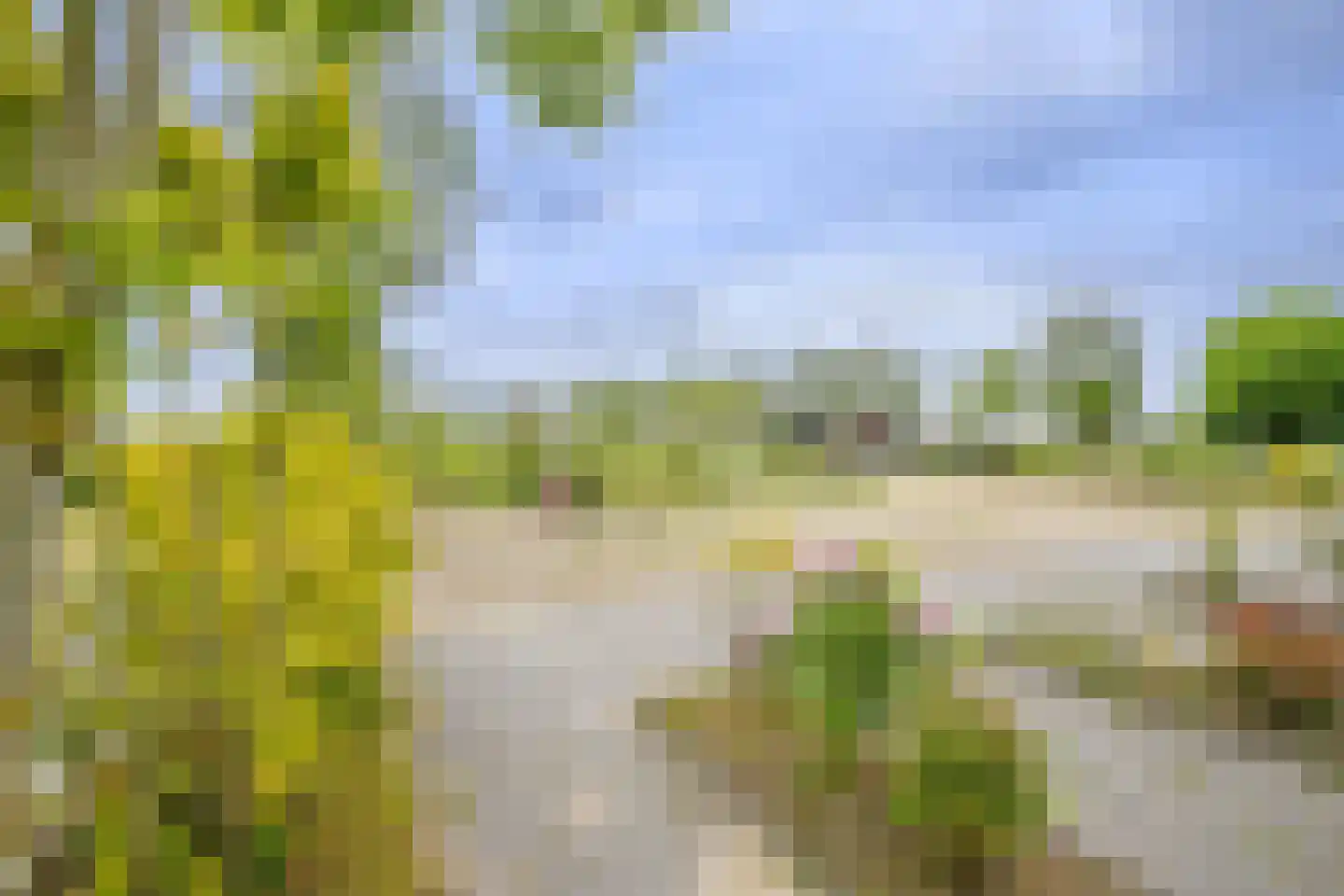 Achterbroek 26 a Berkenwoude thumbnail 49