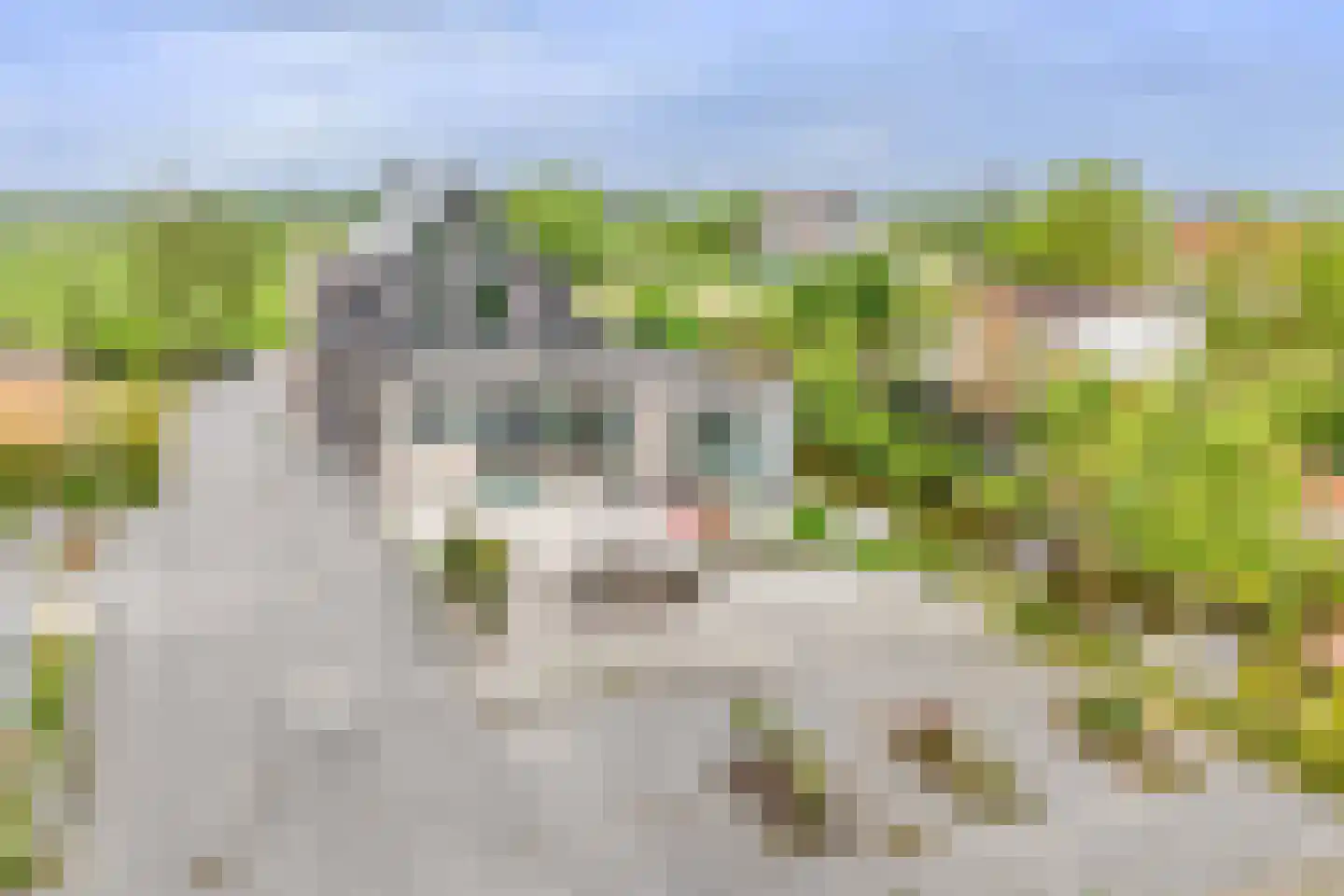 Achterbroek 26 a Berkenwoude thumbnail 52