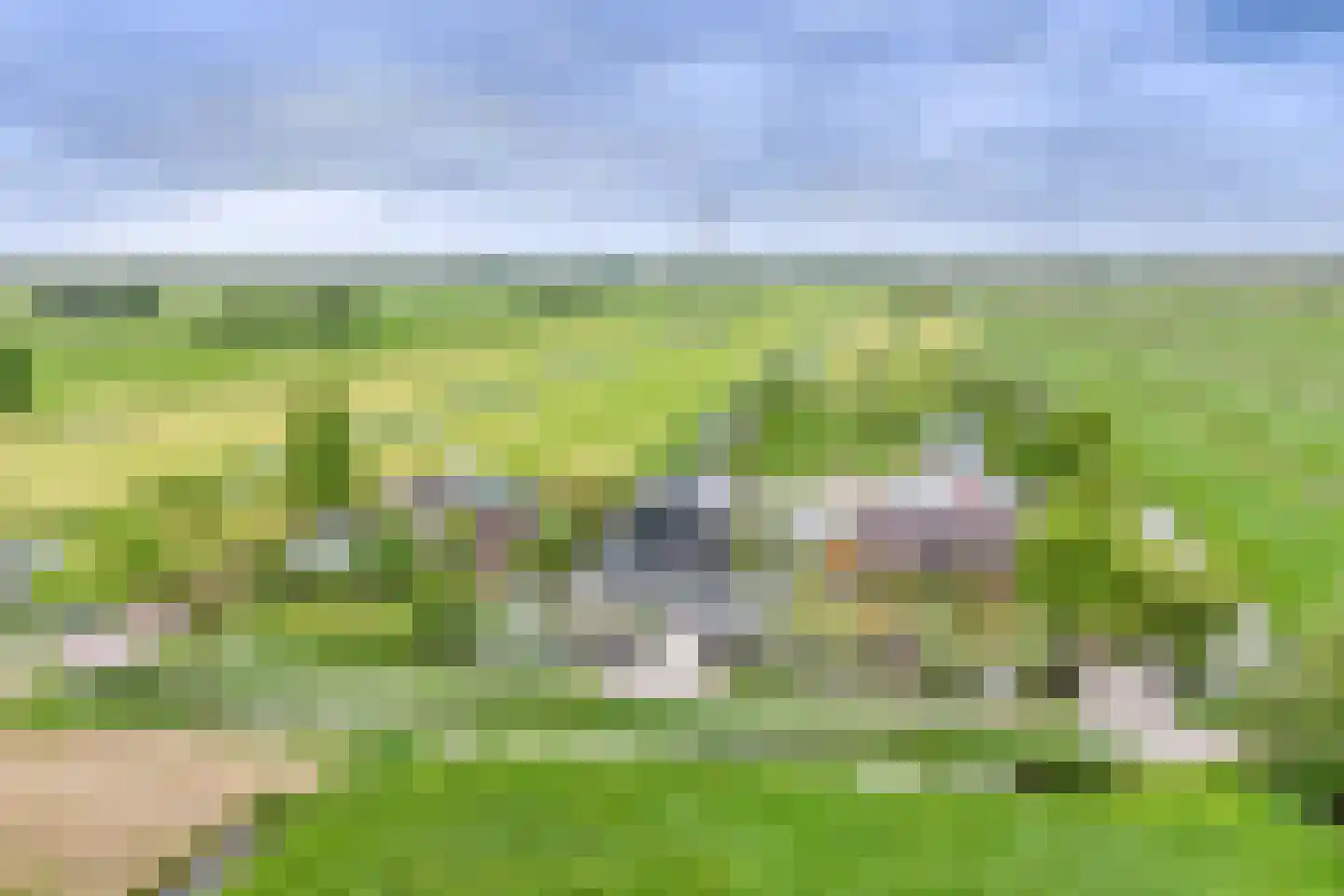 Achterbroek 26 a Berkenwoude thumbnail 54
